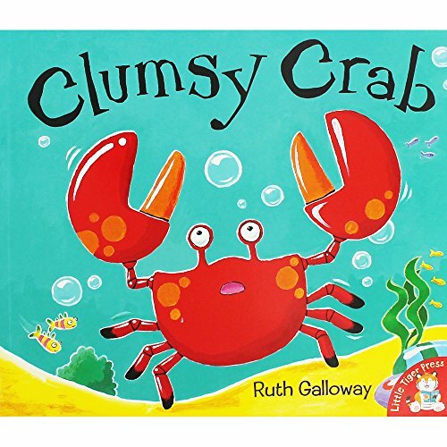 Clumsy crab galloway - crab-galloway,
