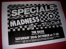MADNESS - 2 TONE TOUR 1979 -