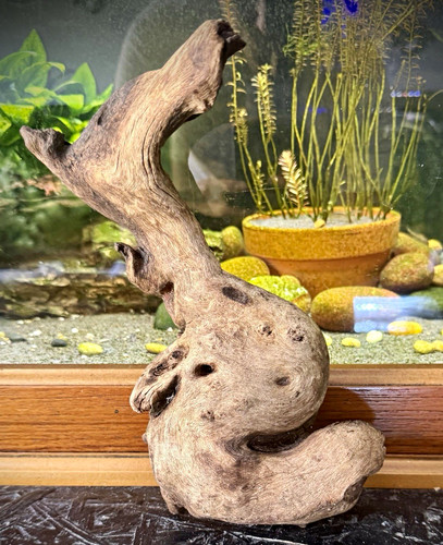 Aquarium driftwood hardwood - driftwood,