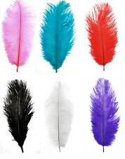 Feather Ostrich or Fowl Retro Beautiful 6-24 inches/15-60 cm Wedding Craft Art