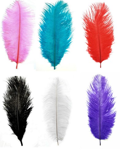 Feather ostrich fowl - feather,