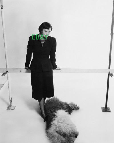 Florence knoll photograph - florence,