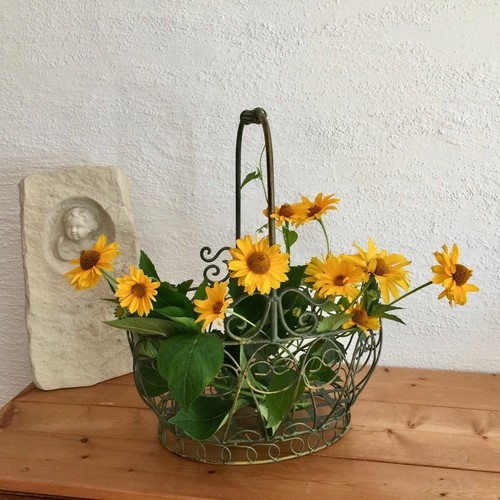 Metal flower baskets - baskets,, wrought