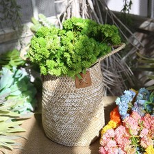  Small Container Woven Storage Basket Indoor Natural Seagrass Baskets