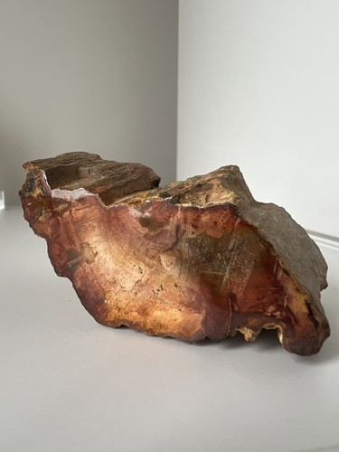 167g petrified wood chunk - wood, |