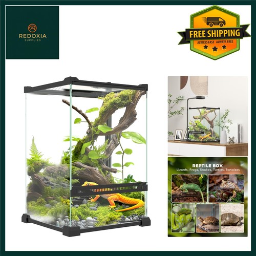 Spacious glass reptile - spacious,