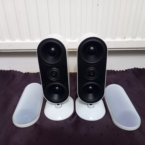 100w gloss white acoustics - gloss,
