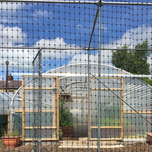 Rigid fruit cage netting - rigid,