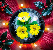 MURANO PAPERWEIGHT Primula Veris Flowers of Enchantment Gino Seguso (signed) VG+