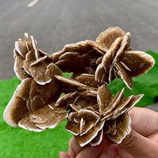 327G Natural Africa Selenite Desert Rose Crystal Cluster minerals healing