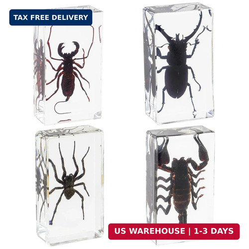 Pcs gothic insect - 4,