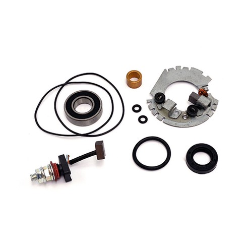 Starter motor overhaul kit - kit, for