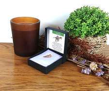 100% Genuine Spinosaurus Tooth Fossil Dinosaur Morocco 20-25mm Presentation Box