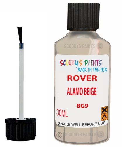 Paint for rover - rover, vitesse