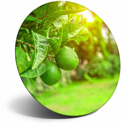 Awesome fridge magnet - fridge, citrus