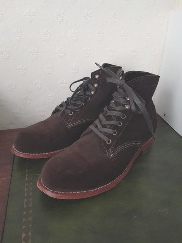 Wolverine 1000 mile - wolverine,
