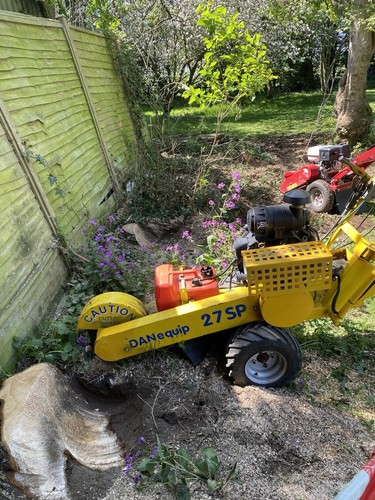 Stump grinder removal - stump,