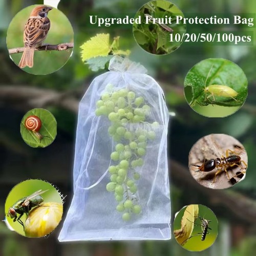100x fruit protection - protection, bags