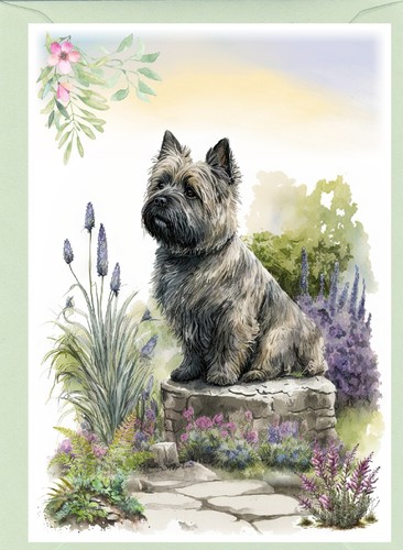 Cairn terrier dog greetings - terrier,