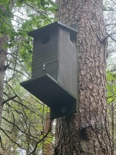 Red Squirrel Nest Box