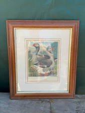 ANTIQUE TOULOUSE GEESE PRINT