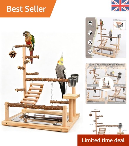 Multi color parrot play stand - parrot,