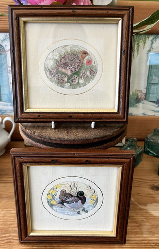 Sharon jervis set - set, of