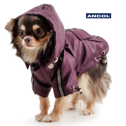 Dog coat puppy purple - coat,