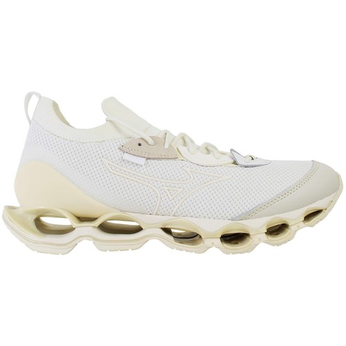 Mizuno wave prophecy beta - mizuno,