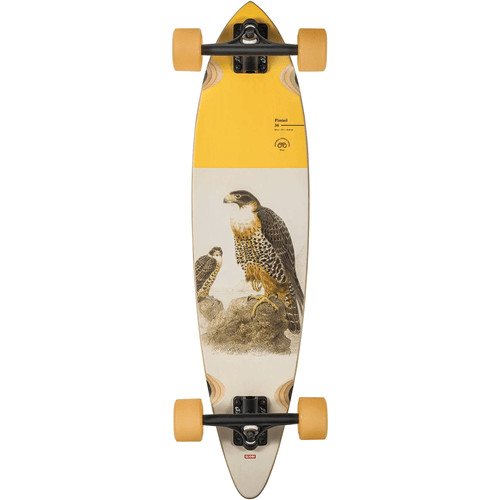 Globe longboard pintail - longboard, 34