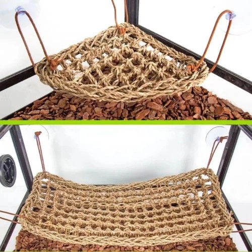 Bearded dragon hammock reptile - bearded,