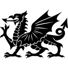 'Welsh Dragon' Unmounted