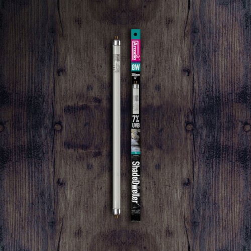 Arcadia shadedweller - arcadia,