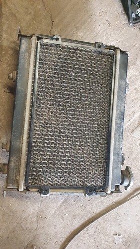 Dinli quadzilla 450 radiator - dinli,
