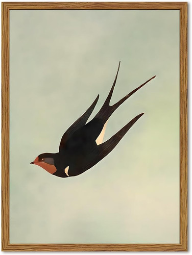 Framed vintage bird wall art - framed,