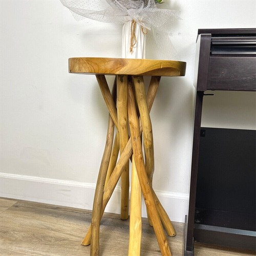 Teak wood branch - branch, end