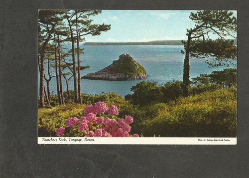 Postcard devon torquay - postcard,