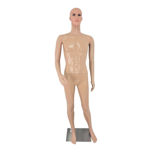 Male mannequin full body - male,
