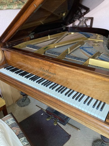 Bluthner style baby grand - bluthner,