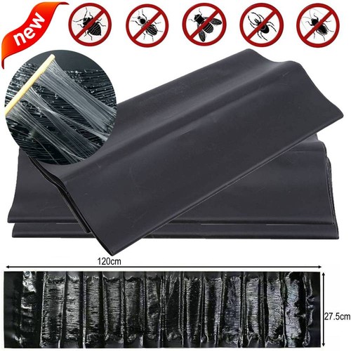 Rat mice mousetraps pest - rat,