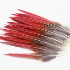 Large Natural Fire Tip Pheasant Tail Feathers 5-12cm Craft Hat Arts Decorations