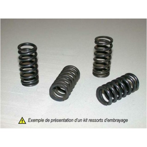 Clutch springs kit - springs,