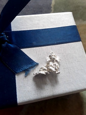 SILVER CHARM PEKINGESE DOG