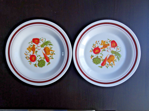 Arcopal france retro two - retro,