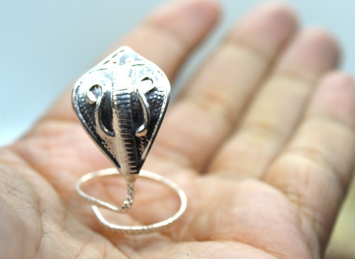 Silver nag hindu - hindu, snake