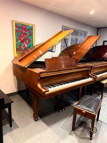 Kawai superb baby - - superb,