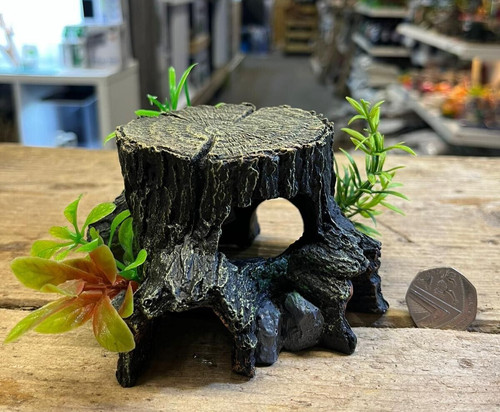 Sml tree stump - stump, natural