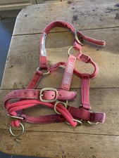 Monty Roberts Dually