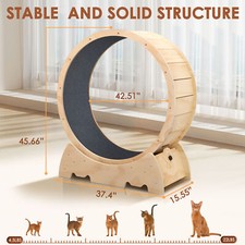Large Cat Exercise Wheel Cat