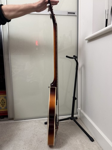 This violin shaped - is, violin-shaped